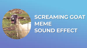 Screaming Goat Meme Sound Effect Free Mp3 Download