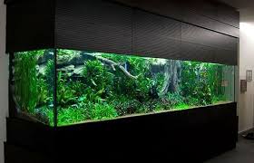 My God 5500 Litre Planted Tank Speechless Aquascape Aquarium Aquarium Fish Tank Nature Aquarium