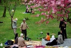 'Sizdah Be-dar', celebration to bid farewell to Nowruz - Mehr News Agency