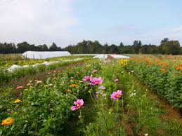 Wedding design is by consultation only. Sweet Greens Farm Localharvest