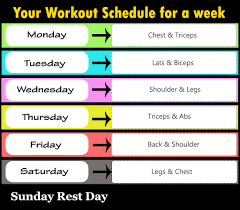 Full Week Gym Workout Plan Fitness Workouts Exercises