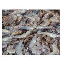 Wholesale Frozen Vannamei Shrimp Pto Premium Vietnam Quality ...
