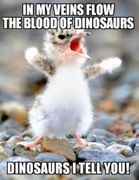 39 Funny Pictures That Will Make Your Day Cute Animals With Funny Captions Animal Humour Funny Animal Jokes