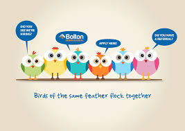 Animated Birds Of The Same Feather Flock Together Birds Of A Feather Flock Together On Behance