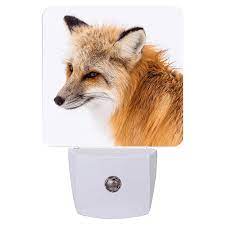 Fox Color Print Night Light | Etched Memory