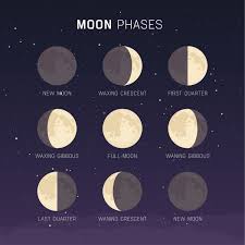 The moon's phases are a reflection — quite literally — of how much of the lunar surface is illuminated by the sun, as seen from earth, says shoshana weider, a planetary scientist who has worked with nasa's lunar science institute. Why Does The Moon Change Shape
