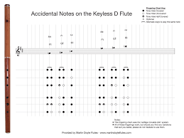 Fingering Charts For Keyless D Flutes Martin Doyle Flutes