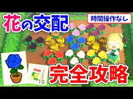 あつ森 花の交配を徹底解説 全種類の交配表や青バラの作り方 効率の良い植え方 増やし方 入手方法などまとめ あつまれどうぶつの森 攻略 youtube どうぶつの森 バラの作り方 森