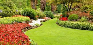 Opening at 7:30 am tomorrow. Lawn And Landscaping Png Free Lawn And Landscaping Png Transparent Images 80710 Pngio