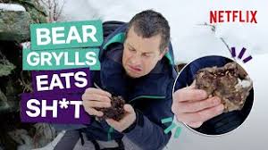 bear grylls eats bear poo in you vs