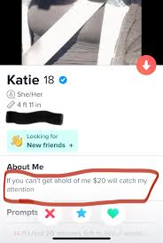 Does anyone actually send these girls money? : rTinder