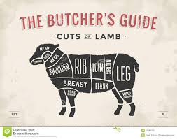 Diagram For Cutting Beef Catalogue Of Schemas