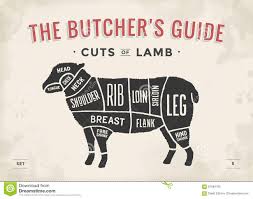 Cut Of Beef Set Poster Butcher Diagram And Scheme Lamb