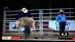 Calgary Stampede Rodeo Wild Card Saturday Lineup Of Canadians -  Cochranenow: Cochrane, Alberta'S Latest News, Sports, Weather, Community  Events.