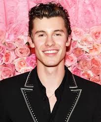 Image result for shawn mendes