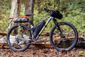 Image result for Orbea knobelii