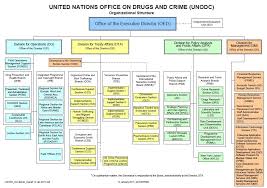 organizational structure of unodc