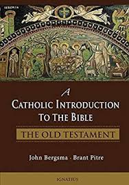 A Catholic Introduction To The Bible The Old Testament Brant Pitre John Bergsma 9781586177225 Amazon Com Books Old Testament Bible Catholic