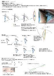 pin by appleappleapple on 顔 参考 illustrator tutorials figure drawing reference digital art tutorial