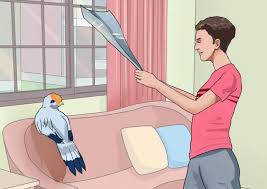 ويقول الشيخ عبد الغني النابلسي عن رؤية الخبز في المنام الخبز النقي الأبيض يدل على الرزق والرفاه ما تفسير إطعام المسكين في المنام أمَّا عن إعطاء الطعام في المنام تقول مفسرة الأحلام في حلوها: Ø­Ù„Ù…Øª Ø¨Ø·ÙŠØ± ÙŠØ·ÙŠØ± ÙÙŠ Ø§Ù„Ù…Ù†Ø²Ù„ Ù…Ø§ Ù‡Ùˆ Ø­Ù„Ù… Ø·Ø§Ø¦Ø± ÙŠØ·ÙŠØ± Ø¥Ù„Ù‰ Ø§Ù„Ù…Ù†Ø²Ù„ ØªÙØ³ÙŠØ± Ù„ÙƒØªØ¨ Ø§Ù„Ø£Ø­Ù„Ø§Ù… Ø§Ù„Ø´Ù‡ÙŠØ±Ø©