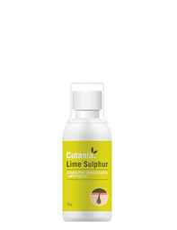 Image result for Limeum sulcatum