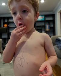 Dan Emerson (@danemers) • Instagram photos and videos