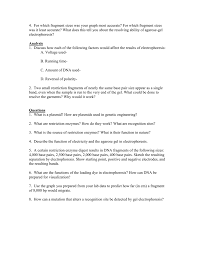 Mitosis webquest & virtual lab virtual lab the cell cycle and cancer worksheet answers also 195 best bio mitosis meosis images on pinterest. Lab Questions Only