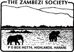 Image result for Streptopetalum serratum