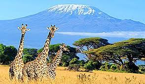 Principalele diferenţieri ale elementelor geografice permit identificarea unor regiuni, iar în fiecare dintre acestea, a unor ţări reprezentative. Regiunile Africii 2021