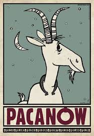 Pacanow Polish Promotion Poster Polish Posters Shop Polish Poster Poster Prints Illustrations And Posters