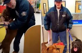 Heartbroken man had to surrender his dog while battling cancer — two years  later, a miracle leads to a tearful reunion 🥹🙏 Read their beautiful story in  the comments: