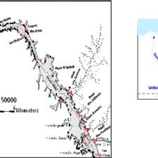 Image result for Najas horrida