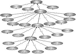 People with forms of irritable bowel disease, such as crohn's or colitis, have a higher risk of developing this type of the organization no stomach for cancer note that stomach cancer still receives little attention, even though it is the third leading cause of cancer. Fragment Of The Rgd Pathway Ontology The Root To The Colorectal Download Scientific Diagram