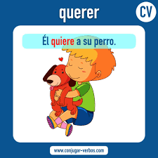 Querer Conjugacion Del Verbo Querer Conjugar Verbos Com