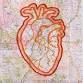 Mapping the Heart