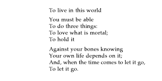 Mary Oliver In Blackwater Woods Poem Spruche Zitate Worter Spruche