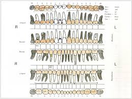 4 examination pocket dentistry