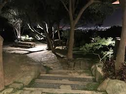 10 03 外燴百萬夜景莊園 tree plants tree trunk