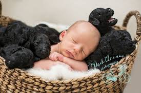 This Woman And Her Dog Gave Birth On The Same Day Newborn Puppies Baby Puppies Cute Baby Puppies