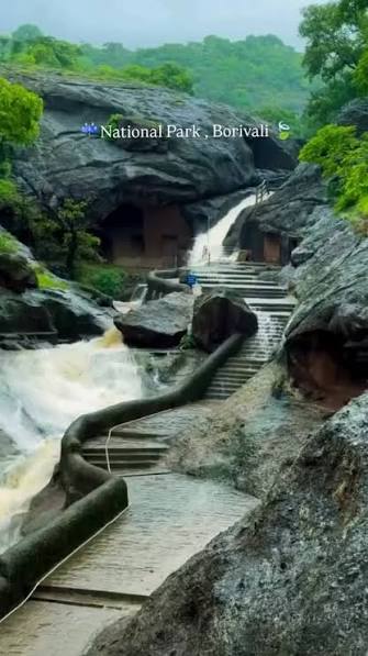 Sanjay Gandhi National Park Borivali during Monsoon ⛈️😍🍃, DM credit , 🚉 Nearest station - Borivali , Share with your friend & family💯 & Tag your friends in comments ✅, [ Borivali , Sanjay Gandhi ...