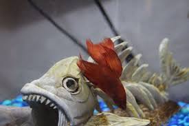 Solution Why Is My Betta Fish Staying At The Bottom Of The Tank Are They Sick Advice For Lethargic Bettas Betta Fish Betta Fish Care Betta Fish Tank