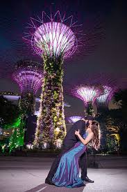 Pre Wedding Photography Singapore Indian Wedding Photographer And Videographer Pre Wedding Photoshoot Indian Wedding Photographer Prewedding Photography