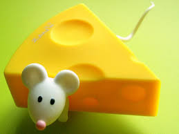 Image result for cheese