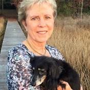 Inoue Family Obituaries