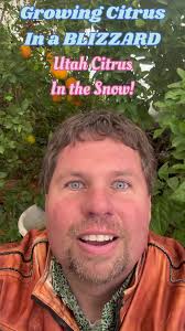Utah Citrus in a Blizzard!! The Greenhouses only heated by Compost!! Zone  6b Ogden Metro Utah. No Heaters! SHARE this video to get it mainstream!  #utah #citrus #snow #invention #agriculture #fyp ...