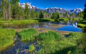 Download and use 90,000+ desktop background stock photos for free. Computer Wallpapers Desktop Backgrounds Wallpaper Cave