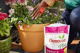 Typically, hydrangeas develop more when fertilized once or twice a year. 5 Best Fertilizers For Hydrangeas Reviewed Jul 2021