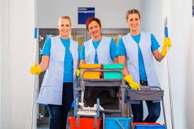 Carpet Cleaner Victoria Park In 2020 Commercial Cleaning Services Commercial Cleaning Cleaning Service