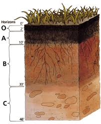 Unified Soil Classification System Wikiwand