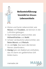 Beikost Gesund Und Im Tempo Des Kindes Einfuhren Mamadoc De